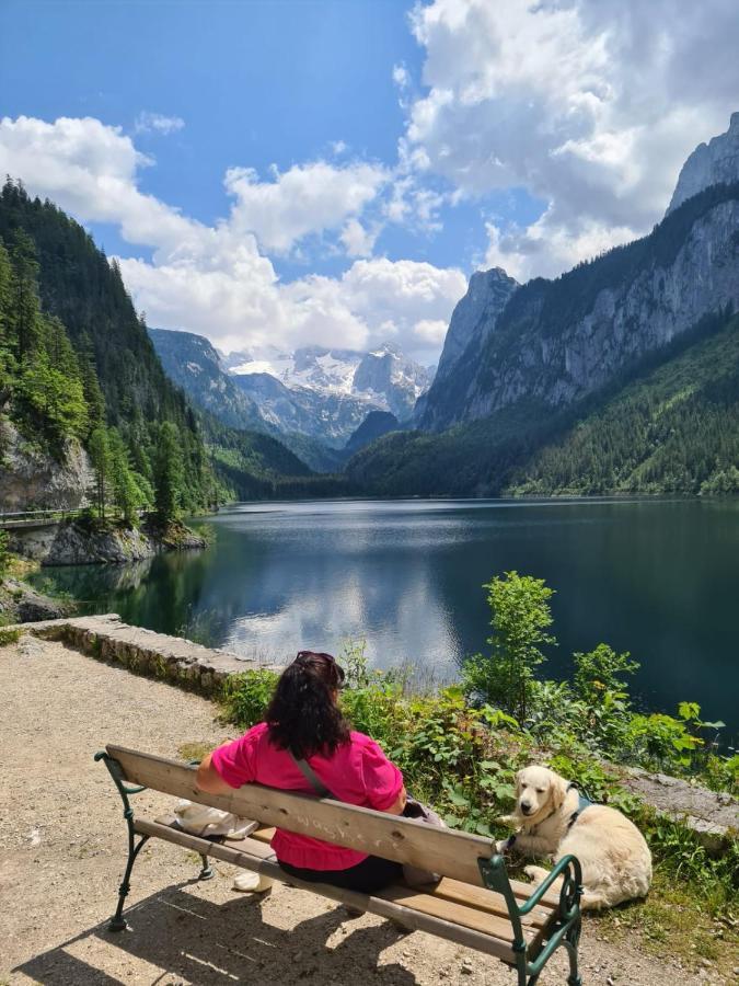 Ferienwohnung Margareta Bad Goisern am Hallstättersee Exterior foto